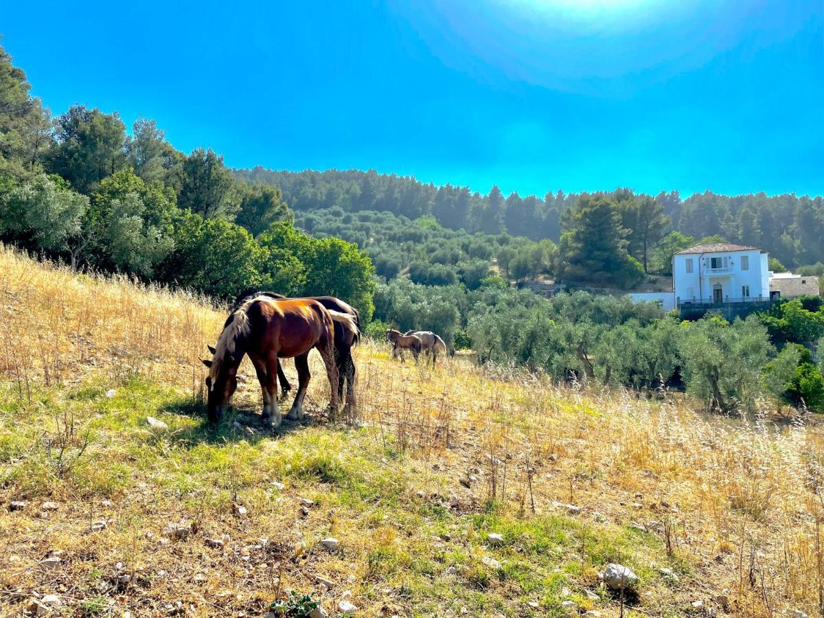 Novecento Country House Vieste Buitenkant foto