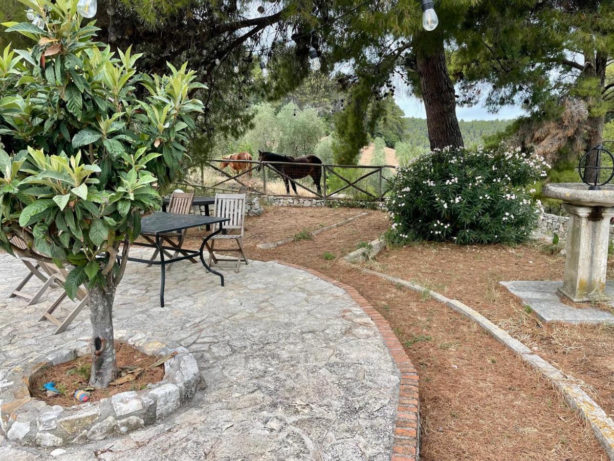 Novecento Country House Vieste Buitenkant foto